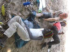 Sleeping away the midday sun Midday rest