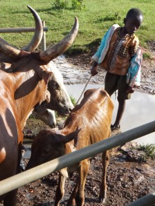 You think you're gonna get past me!?