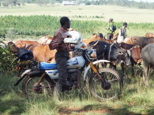 Mkinga scans for his next victim