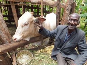 This man LOVES his cow!