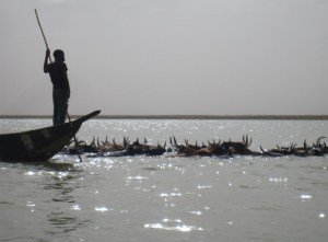 The river Niger